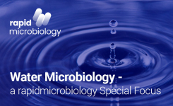 Rapid microbiology water testing