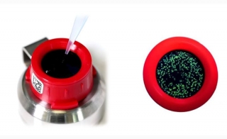 Rapid Same-day Quantitative Detection of em Escherichia coli em in Drinking Water