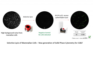 Microbiological Same-day Results for Cell and Gene Therapy Products