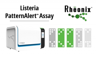 Listeria PatternAlert trade Assay ndash Rapid Typing Direct from Enrichment
