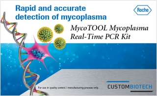 Validation Study for Rapid Detection of Mycoplasma Contamination
