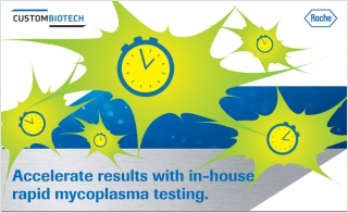 Rapid Mycoplasma Kit Qualified for Cell Therapy In-house QC