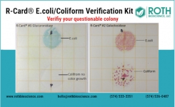 E coli and Coliform colonies on R Card
