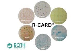 R-CARD® Yeast and Mold - Rapid Test with Accurate Count - 25 Tests – Roth  Bioscience, LLC