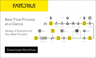 Process Flow Chart for Your Beer Process