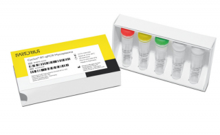 New Rapid Mycoplasma Testing Solution for EP 2 6 7 12 2 Compliance