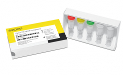 Mycoplasma Testing Solution