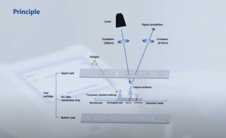 Bioeasy COVID-19 Antigen Test Still Tops WHO 39 s List