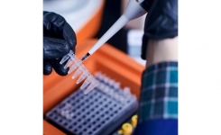 Sherlock Bioscience CRISPR SARS-CoV-2 Kit