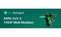 Recombinant Spike Protein of Mink Strain