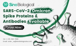 Omicron variant RBD and Spike proteins