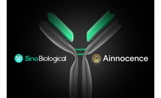 Sino Biological and Ainnocence Partner to Offer Next-Generation Antibody Development CRO Services