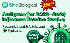 Sino Biological Recombinant Antigens for 2023 to 2024 Influenza Vaccine Strains