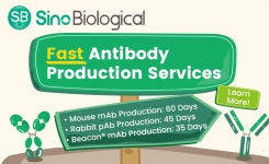 Sino Biological rapid antibody production services