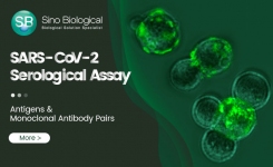 Antigens and Monoclonal Antibody Pairs