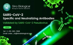 SARS-CoV-2 Detection Antibodies