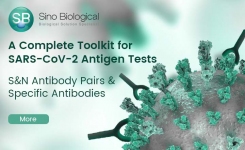 SARS N and S proteins and antibody pairs