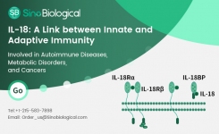 Sino Biological panel of IL 18 and IL 18 receptor reagents