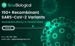 Over 150 recombinant SARSCoV2 Variants