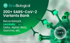 Recombinant SARS-CoV-2 Variant Bank