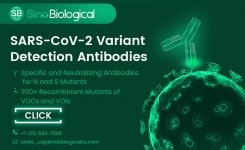 SARS-CoV-2 Variant Detection Antibodies