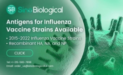 Sino Biological Recombinant Antigens for 2015 to 2022 Influenza Vaccine Strains
