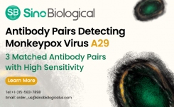 Antibody Pairs Detecting Monkeypox Virus A29