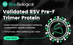 Validated RSV Pre F Trimer Protein