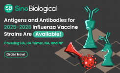 Sino Biological recombinant antigens for 2025-2026 influenza vaccine strains