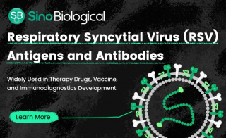 Respiratory Syncytial Virus RSV Antigens and Antibodies