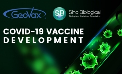 Sino GeoVax COVID Vaccine