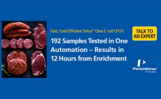 A New Highly Sensitive Cost Effective Assay for em E coli em 0157 in Raw Ground Beef and Raw Beef Trim