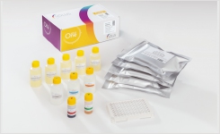 Solus One for next day detection of Listeria in environmental samples