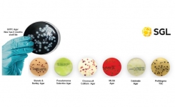 Southern Group pre poured culture media for water testing