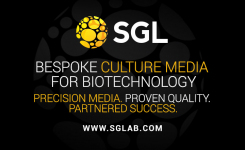 Bespoke Culture Media for Biotechnology