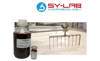 Enumeration of Butyric Acid Producing Clostridia - Rapid Chromogenic MPN Assay