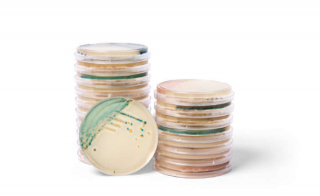 New Color-Based Chromogenic Culture Media to Help Detect em Candida em Infections Faster