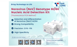 Hot Sale - Norovirus NoV Genotype GI GII PCR Detection Kit