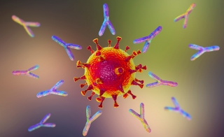 Are You Confident in Your Ability to Accurately Assess Immunoassay Development Milestones 