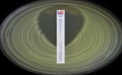 Antimicrobial Sensitivity Test AST and Resistance AMR Markers - How to Find the MIC