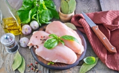 Poultry Food Safety Testing - em Salmonella em and em Campylobacter em 