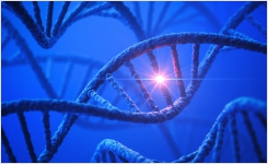 PCR for the Food Microbiology Laboratory