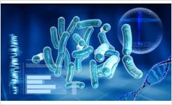 Microbial Identification and Strain Typing Using Molecular Techniques