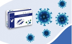 UK Antibody IgG COVID 19