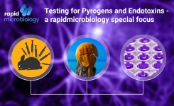 Testing for Endotoxins and Pyrogens