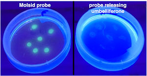 1841_Molsid_Probe