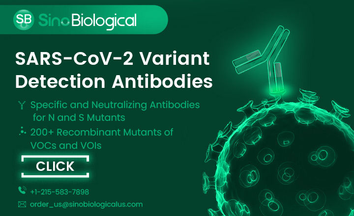 COVID-19 Immunity testing